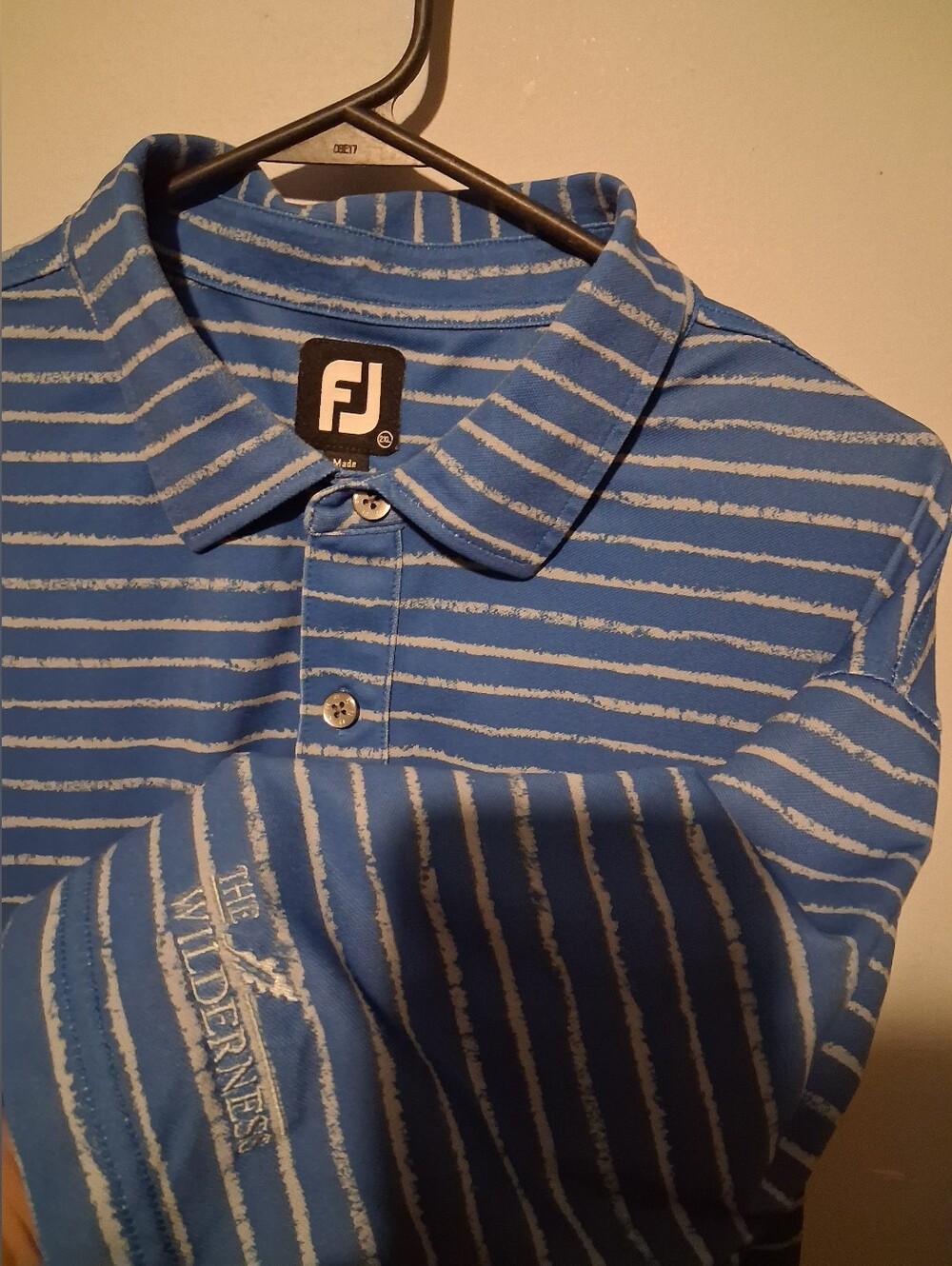 FootJoy Performance Golf Polo Chalk Line Stripe Size 2XL Blue The Wilderness